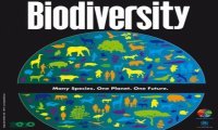 Verbania
Biodiversità: incontro ricercatori e studenti