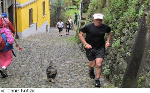 Cossogno
Km Verticale FOTOGALLERY