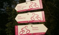Verbania
Cartelli sulla ciclabile sbagliati?