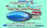 Verbania
Giro del Monterosso
