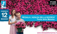 Verbania
AIRC "Azalea della Ricerca"
