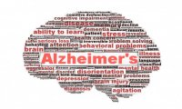 Verbania
La quotidianità della famiglia nella malattia di Alzheimer