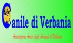 Verbania
Gara pubblica per il Canile