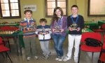 Verbania
Scacchi under 16: successo dei verbanesi