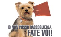 Verbania
Cani, padroni ed educazione