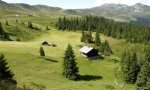 Ossola
"Oltre la Montagna" Opportunità di Lavoro
