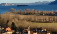 Verbania
Petizione: Salviamo la Riserva naturale di Fondotoce