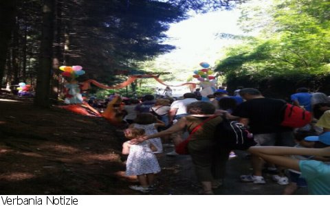 Cossogno
Bosco Fatato successo e pioggia FOTOGALLERY