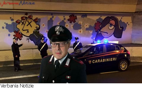 Verbania
La vignetta della domenica - Arte