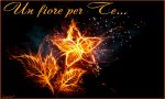 Verbania
Fiori di Fuoco