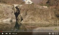 Cannobio
Cannobio e Traffiume dall'alto - VIDEO