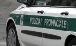 Cannobio
Polizia Provinciale sequestra armi illegalmente detenute