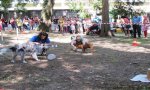 Verbania
Scodinzolando Felice: cani in festa FOTO