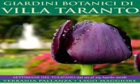 Verbania
"Le settimane del tulipano" a Villa Taranto