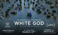 Verbania
Metti una sera al cinema - White God - Sinfonia per Hagen 