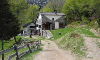 Ornavasso
Cena e musica in rifugio