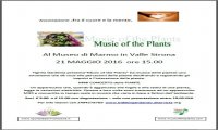 Valstrona
La musica delle piante
