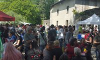 Verbania
Successo per Verbania Comics - Foto