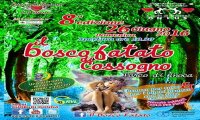 Cossogno
Bosco Fatato di Cossogno 8^ edizione 