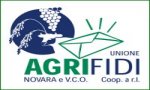 Verbania
Agricoltura: accordo Bnl-Agrifidi Novara e Vco