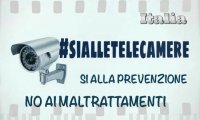 Verbania
Forza Italia: "Telecamere negli asili di Verbania"