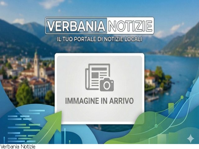 Distributore Acqua A 5 Vie In Ottone – Collettore Con Attacchi 1" E 1/4" Per Impianti Idraulici