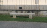 Verbania
Panchine e rovi: il comune risponde ai nostri lettori