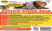 Verbania
"Amico Cane 2016"