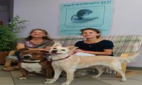 Verbania
Progetto Pet Therapy degli Angeli dell’Hospice