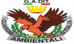 Verbania
Guardie Ambientali: aperte le iscrizioni