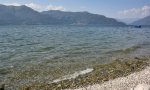 Verbania
Interventi sulle spiagge e sulle sponde cittadine al via oggi