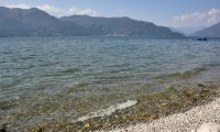 Verbania
Interventi sulle spiagge e sulle sponde cittadine al via oggi
