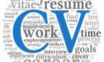 Verbania
Work4You: CV in inglese. Serve aiuto?