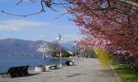Verbania
Riqualificazione lungolago di Pallanza