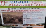 Cannobio
Fiera degli Allevatori