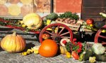 Santa Maria Maggiore
Torna l'evento più "Fuori di Zucca" dell'autunno