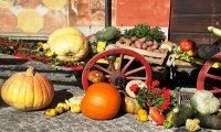 Santa Maria Maggiore
Torna l'evento più "Fuori di Zucca" dell'autunno