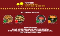 Fuori Provincia
Istituto Zooprofilattico laboratorio ufficiale identificazione funghi