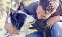 Verbania
VerbaniaBau: Comunicazione cane-umano e umano-cane