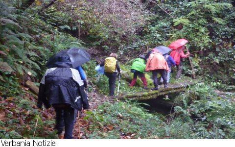 Cambiasca
Giro dei Paesi della Valle Intrasca - Foto