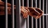 Ossola
In carcere una 67 enne