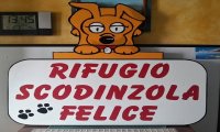 Verbania
Banchetto Associazione Scodinzola Felice
