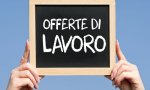 Verbania
Offerte di lavoro del 12/12/2016