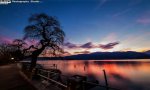 Verbania
The pic of the week - Lago Rosa