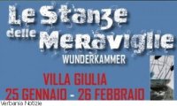 Verbania
“Le stanze delle meraviglie- Wunderkammern” - 1^ settimana