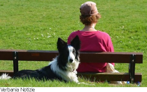 Verbania
VerbaniaBau: Apprendimento socio-cognitivo: apprendere dall’Altro