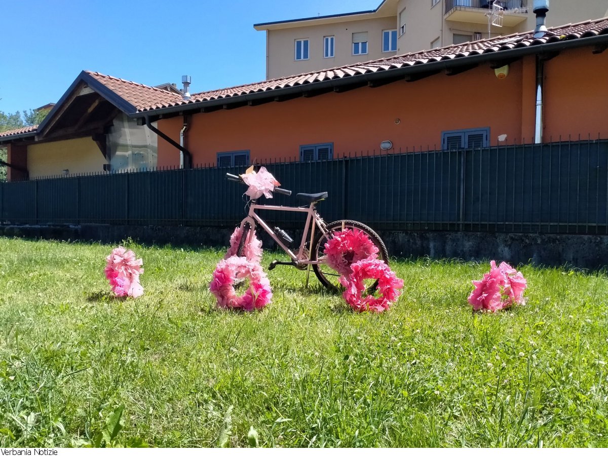 Immagine 2
