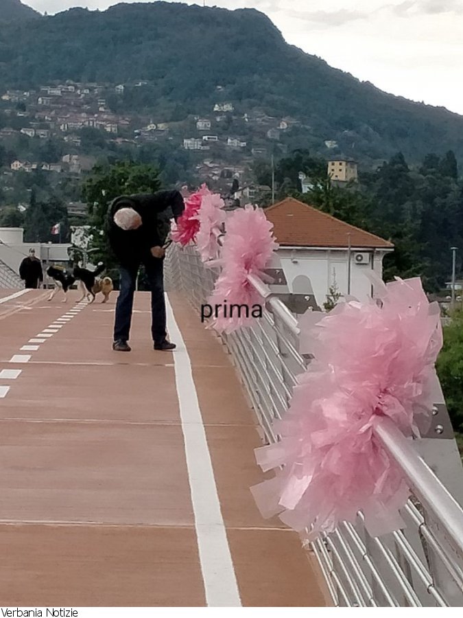 Immagine 1