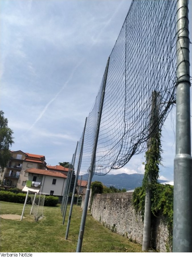 Immagine 5