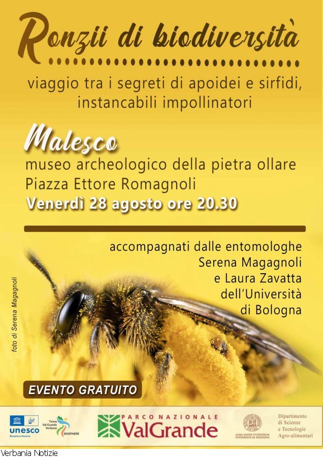 Immagine 1